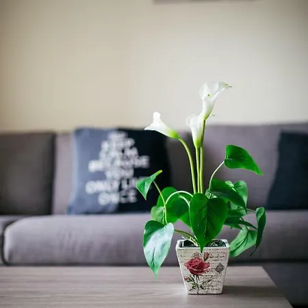 Apartment Takelena